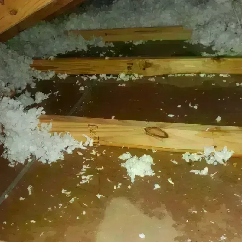 Attic Water Damage in San Juan Bautista, CA